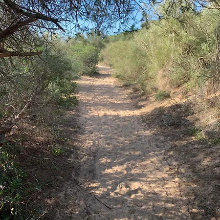 דירה Vista Al Mar Primera En La Playa *