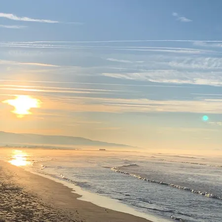 公寓 Vista Al Mar Primera En La Playa 巴尔巴特